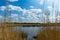 The shore of the lake is overgrown with sedge and cattails. Access to the water through the tall grass