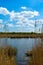 The shore of the lake is overgrown with sedge and cattails. Access to the water through the tall grass