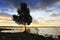 Shore Of Lough Ennell