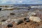 Shore of Onega lake in Karelia