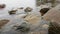 The shore of Onega Lake, the Republic of Karelia. Stones of granite and gabbro-diabase are visible from under the water