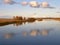 A shore overgrown with reeds, a lake and a forest in the background. Republic of Karelia.