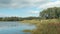 Shore overgrown with sedge and reeds beautiful landscape