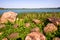 The shore of Songya Lake, piled with huge stones,