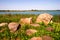 The shore of Songya Lake, piled with huge stones,