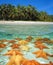 Shore of a tropical beach with starfish underwater