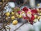 Shorea robusta, Dipterocarpaceae, Couroupita guianensis Aubl., Sal blooming in garden on blurred nature background