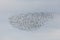 Shorebirds, Dunlin (Calidris alpina) migrating north in the Vacares pond in spring