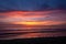 Shorebirds feed on the beach at sunset.