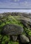 Shoreline along Northumberland Strait, Nova Scotia