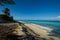 Shoreline of Bimini beach