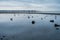 Shoreline Birds And Pier