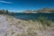 Shoreline brush at Bill Evans Lake in New Mexico.