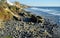 Shoreline at Cress Street Beach in Laguna Beach, California.