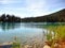 Shoreline at Emerald Lake