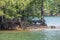 Shoreline erosion on the lake closeup