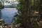 Shoreline and fresh water of Mountain View Lake, New Hampshire.