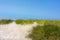 Shoreline grass in sand dunes against blue sky