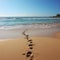 Shoreline imprints, footprints on beach sand narrate tales of ocean rendezvous