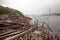 Shoreline of Lake Burbury Tasmania