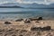 Shoreline of lake Manapouri