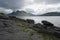 Shoreline landscape from the isle of raasay, green seaweed