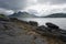 Shoreline landscape from the isle of raasay, yellow seaweed