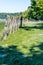 Shoreline Leaning Pilings 6