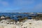 Shoreline at Monterey Bay California