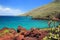 Shoreline of Rabida Island, Galapagos National Park, Ecuador