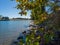 Shoreline of sacramento river in fall with trees growing on levee