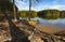 Shoreline with tree roots in North Carolina