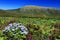 The shores of Lagoa Funda das Lajes, Flores Island