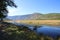 Shores of Madison River Yellowstone National Park