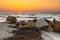 Shores of Twilight: Seaweed-Dappled Beach and Rocky Breakwater at Sunset