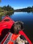 Shorkie Kayaking on Spider Lake, Vancouver Island, BC