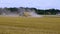 Short film showing process of harvesting rye by agricultural machinery. Agriculture concept backgrounds.