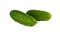 Short-fruited cucumbers on white background