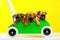 Short hair griffon puppies in green cart