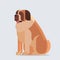 Short-haired saint bernard dog icon furry human friend home animal concept full length