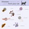 Short infographics that show diseases that can be cathched by human from cats