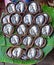 Short mackerel prepared as Pla Thu on Bamboo Basket in Samut Songkhram Thailand