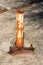 Short rusted metal pole mounted on concrete floor with strong screws and bolts used as foundation for parasol surrounded with dry