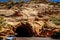 Short tunnel carved out of rock in Zion National Park Urah USA with vehicles parked on both sides of road - No pedestrians sign