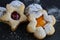 shortbread christmas cookies on a dark background