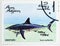 Shortfin Mako Shark (Isurus oxyrinchus), Sea fishes serie, circa 1981