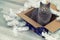 A shorthair cat is sitting in a festive box. New Year`s chores and a pet