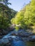 Shosenkyo Gorge in fresh green in Kofu, Yamanashi, Japan