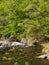 Shosenkyo Gorge in fresh green in Kofu, Yamanashi, Japan