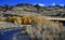 The Shoshone River and Dazzling Autumn Leaves Outside Cody, Wyoming